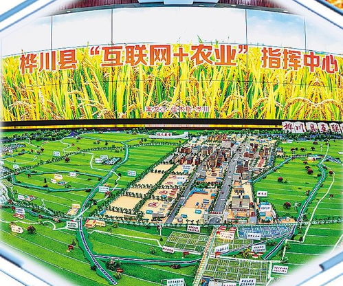 樺川以高標準鏈出農業(yè)發(fā)展新稻路 構建現(xiàn)代農業(yè)發(fā)展體系