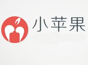 寧波小蘋果青春網絡科技 數字化時代的計算機服務領航者
