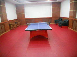 羽毛球?qū)I(yè)運動地板 羽毛球?qū)I(yè)地板 羽毛球地板